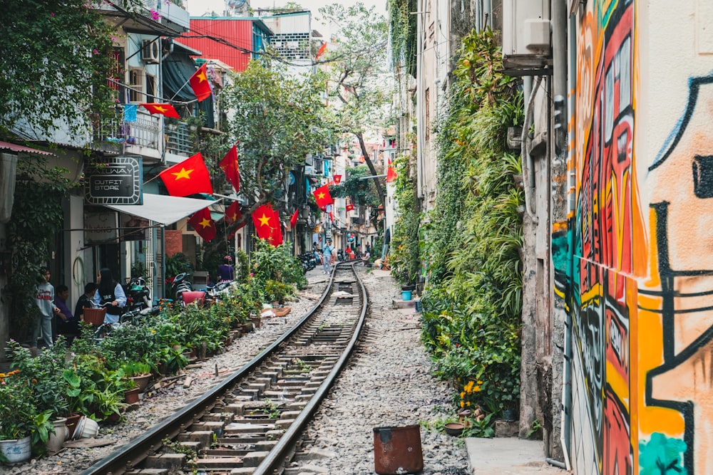 Les lanternes de Hội An illuminent les rues du vieux quartier à la tombée de la nuit